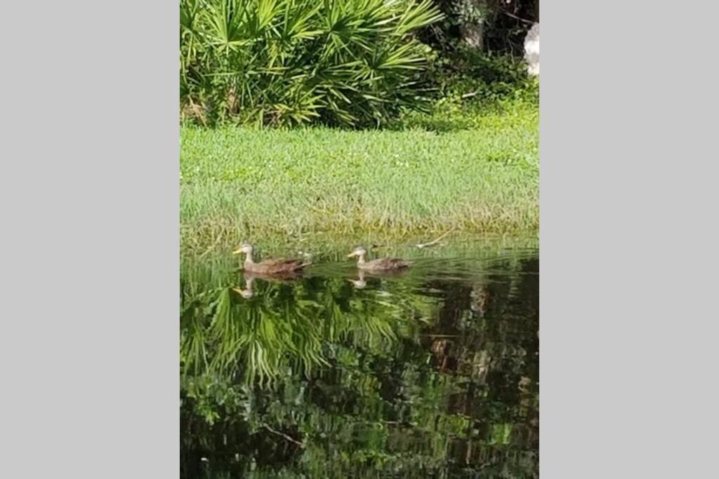 Bonita Oasis Holiday home Bonita Springs